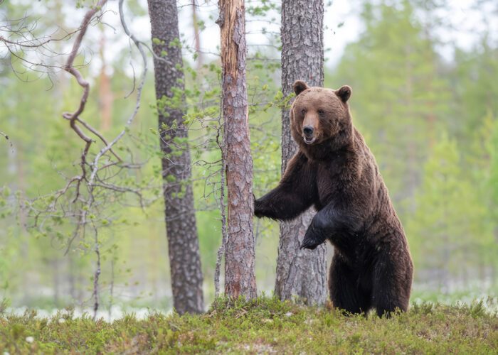 Fotoreise Finnland